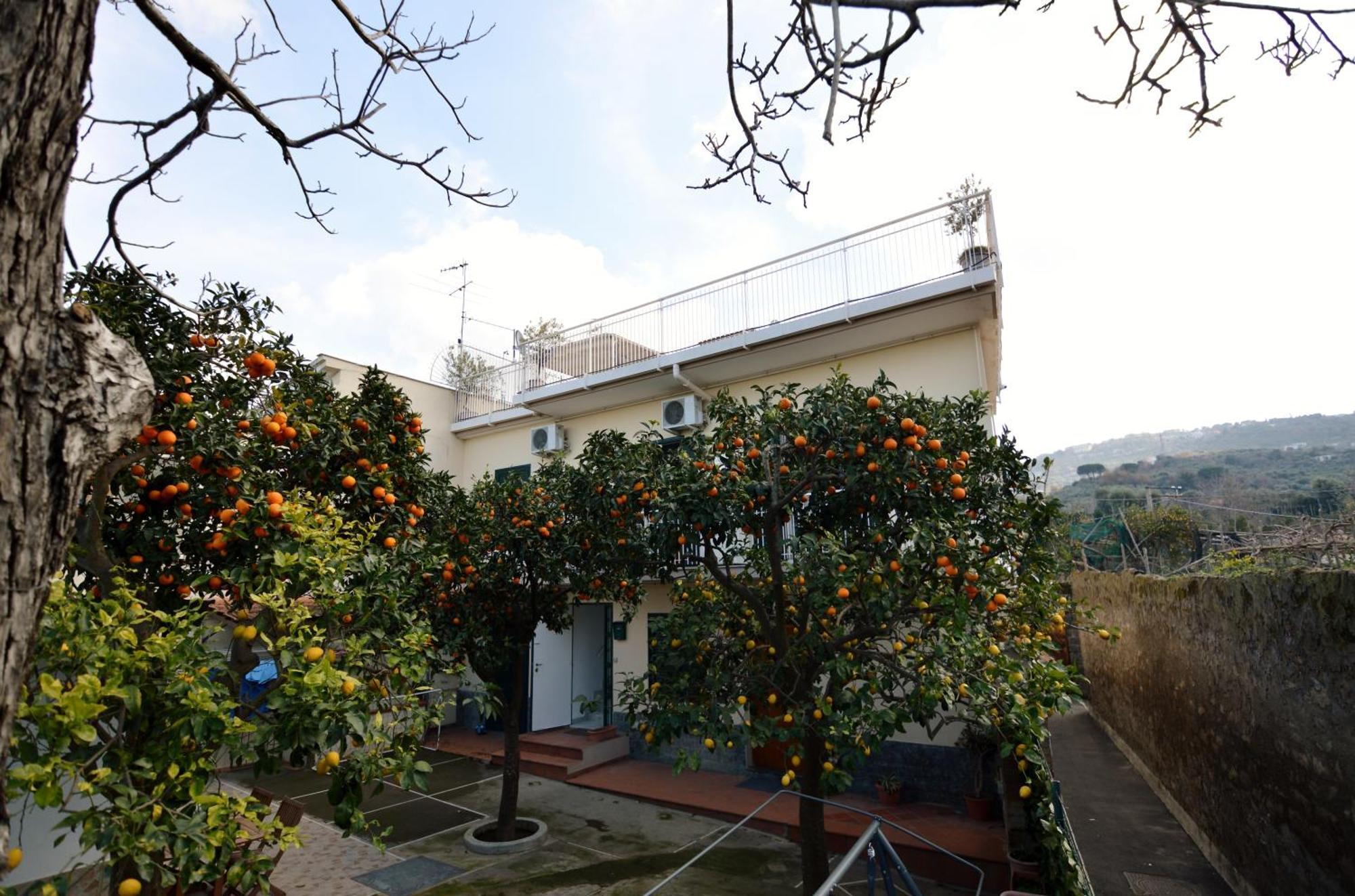 La Terrazza Family Holidays - Sorrento Coast Сант'Анджелло Экстерьер фото