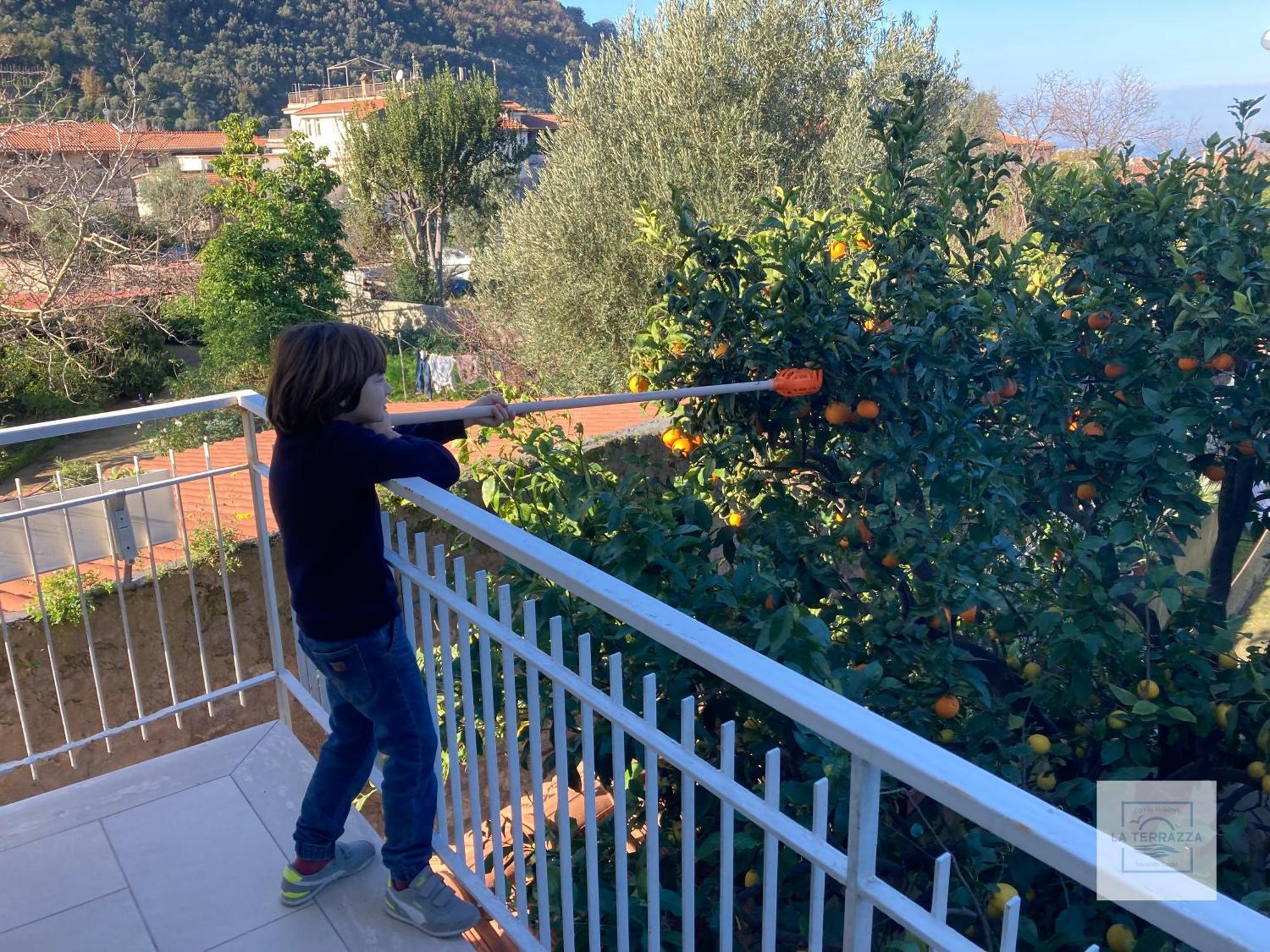 La Terrazza Family Holidays - Sorrento Coast Сант'Анджелло Экстерьер фото